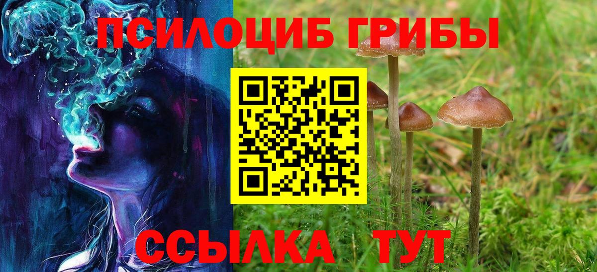 Псилоцибиновые грибы прущие грибы  Вход с VPN  Благовещенск  Псилоцибиновые грибы ЛСД 