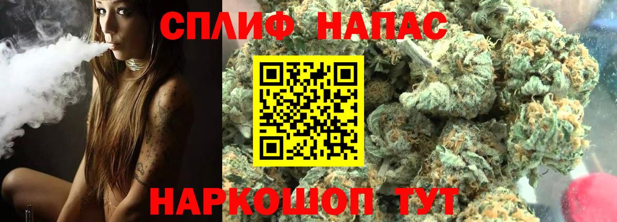 Марихуана сатива Благовещенск